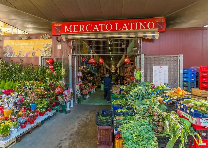 Casa Epiro *